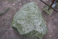 2019-01-03 Rawa Maz - cm. z I wojny światowej (10)