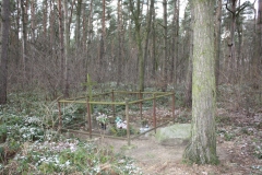 2019-01-03 Rawa Maz - cm. z I wojny światowej (31)