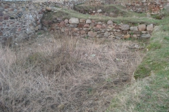 2007-03-22 Rawa Maz. - ruiny zamku (23)