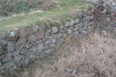 2007-03-22 Rawa Maz. - ruiny zamku (24)