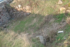 2007-03-22 Rawa Maz. - ruiny zamku (26)