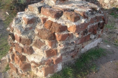 2007-03-22 Rawa Maz. - ruiny zamku (28)