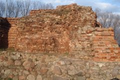 2007-03-22 Rawa Maz. - ruiny zamku (29)