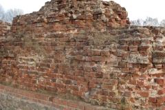 2007-03-22 Rawa Maz. - ruiny zamku (35)