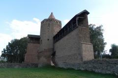 2011-09-13 Rawa Maz. - ruiny zamku (21)