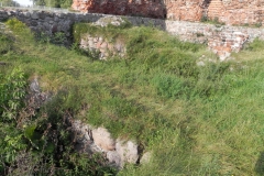 2011-09-13 Rawa Maz. - ruiny zamku (33)