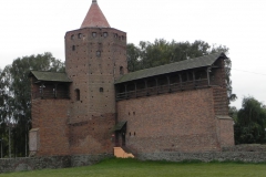 2011-09-20 Rawa Maz. - ruiny zamku (28)