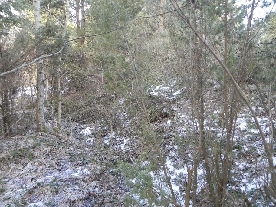 2011-03-06 Roszkowa Wola - cm. z I wojny światowej (27)