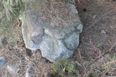 2011-03-06 Roszkowa Wola - cm. z I wojny światowej (13)