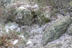 2011-03-06 Roszkowa Wola - cm. z I wojny światowej (15)