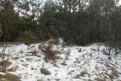 2011-03-06 Roszkowa Wola - cm. z I wojny światowej (23)