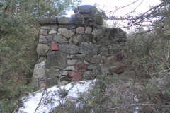 2011-03-06 Roszkowa Wola - cm. z I wojny światowej (24)