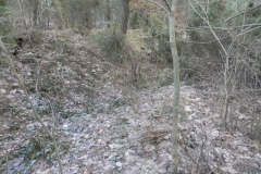 2011-03-06 Roszkowa Wola - cm. z I wojny światowej (25)