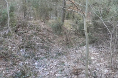 2011-03-06 Roszkowa Wola - cm. z I wojny światowej (26)