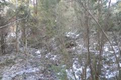 2011-03-06 Roszkowa Wola - cm. z I wojny światowej (27)