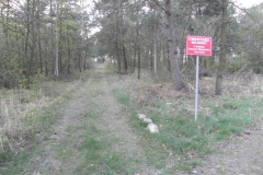 2018-04-14 Roszkowa Wola - cm. z I wojny światowej (1)