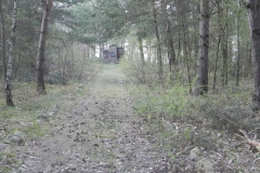 2018-04-14 Roszkowa Wola - cm. z I wojny światowej (3)