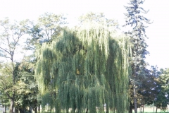 2011-10-02 Rylsk - pałac (24)