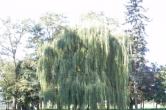 2011-10-02 Rylsk - pałac (25)