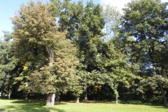 2011-10-02 Rylsk - pałac (28)