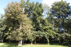 2011-10-02 Rylsk - pałac (29)