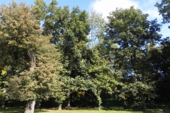 2011-10-02 Rylsk - pałac (30)