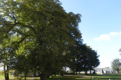 2011-10-02 Rylsk - pałac (35)