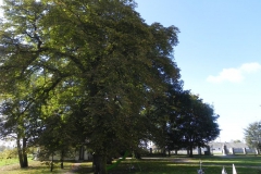 2011-10-02 Rylsk - pałac (36)