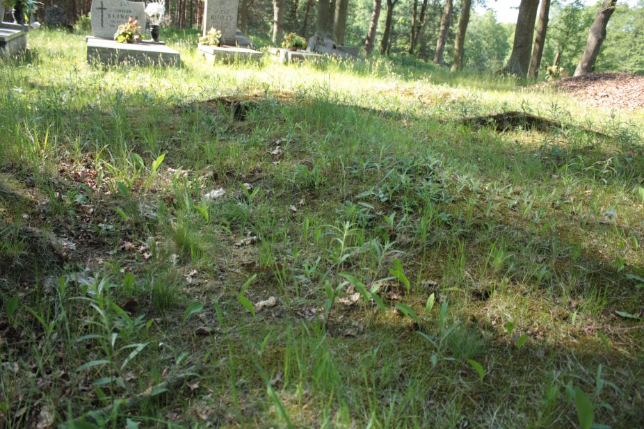 2018-05-13 Stanisławów Lipski - cmentarz ewangelicki (35)