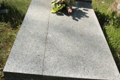 2018-05-13 Stanisławów Lipski - cmentarz ewangelicki (14)