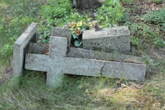 2018-05-13 Stanisławów Lipski - cmentarz ewangelicki (19)