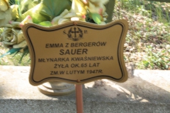 2018-05-13 Stanisławów Lipski - cmentarz ewangelicki (21)