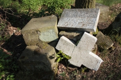 2018-05-13 Stanisławów Lipski - cmentarz ewangelicki (22)