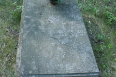 2018-05-13 Stanisławów Lipski - cmentarz ewangelicki (24)