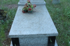 2018-05-13 Stanisławów Lipski - cmentarz ewangelicki (26)