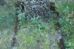 2018-05-13 Stanisławów Lipski - cmentarz ewangelicki (28)