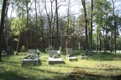 2018-05-13 Stanisławów Lipski - cmentarz ewangelicki (37)