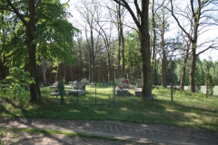 2018-05-13 Stanisławów Lipski - cmentarz ewangelicki (38)