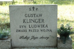 2018-05-13 Stanisławów Lipski - cmentarz ewangelicki (8)