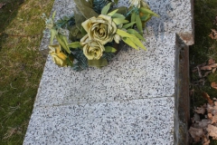 2019-03-31Stanisławów Lipski - cm ewang (23)