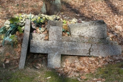 2019-03-31Stanisławów Lipski - cm ewang (24)