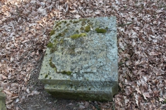 2019-03-31Stanisławów Lipski - cm ewang (26)