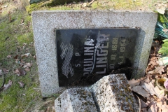 2019-03-31Stanisławów Lipski - cm ewang (31)