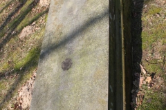 2019-03-31Stanisławów Lipski - cm ewang (32)