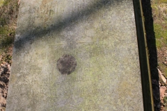 2019-03-31Stanisławów Lipski - cm ewang (33)