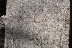 2019-03-31Stanisławów Lipski - cm ewang (37)