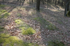 2019-03-31Stanisławów Lipski - cm ewang (47)