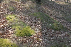 2019-03-31Stanisławów Lipski - cm ewang (48)