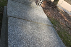 2019-03-31Stanisławów Lipski - cm ewang (9)