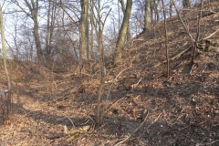 2012-03-18 Stara Rawa - grodzisko (21)
